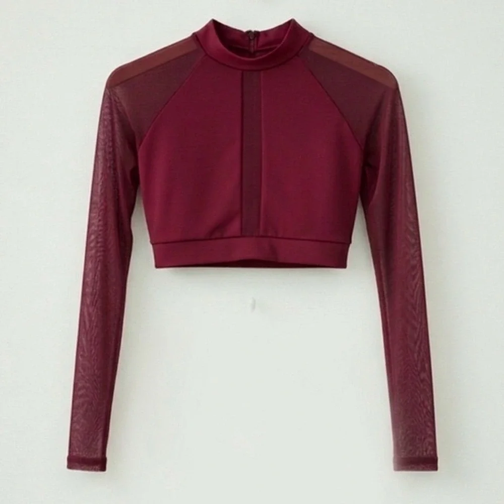 CM Baltogs Burgundy Mesh Long Sleeve Crop Top and High Waist Briefs Set